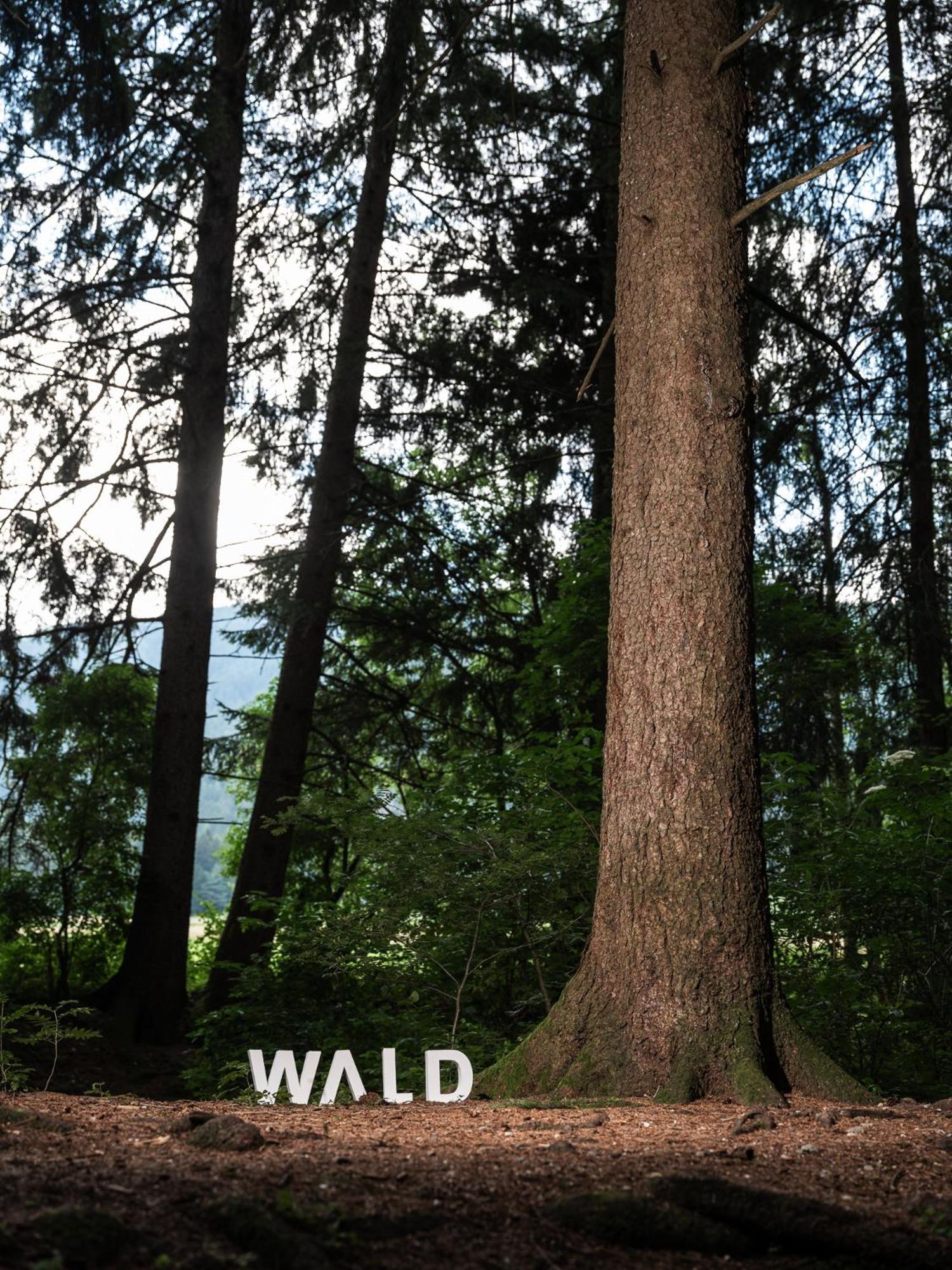Frida am Wald Rasùn di Sotto Exterior foto