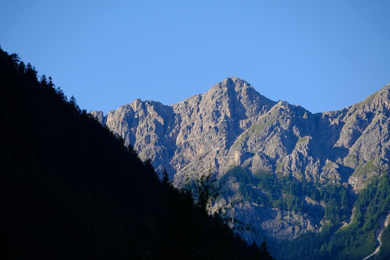 Frida am Wald Rasùn di Sotto Exterior foto